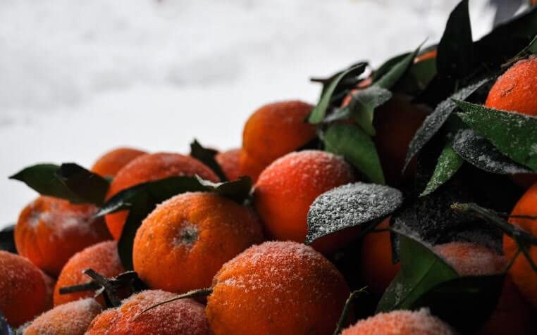 winter-fruit